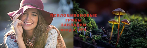 ECSTASY Волоколамск