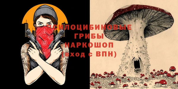 ECSTASY Волоколамск