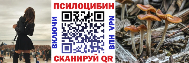 ссылка на мегу как войти  Миасс  Псилоцибиновые грибы ЛСД 